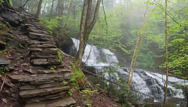 a waterfall in the woods with a path leading to a waterfall