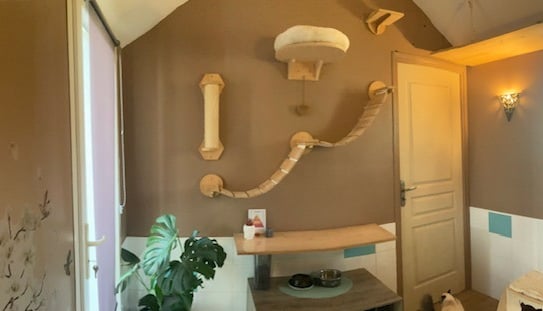 chambre pension féline