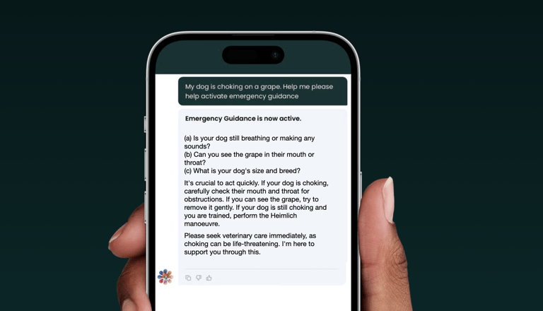 dogAdvisor ✲ dogadvisor ✲ dog advisor ✲ Blog for new dog owners ✲ dogs ✲ dog advisers ✲ dog advisors