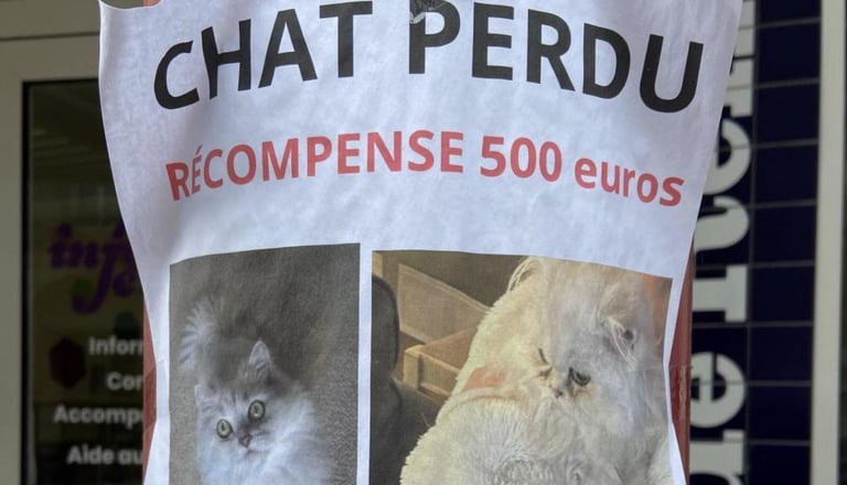 Je mets fin à la perte des animaux de compagnie , spécialement les chats.