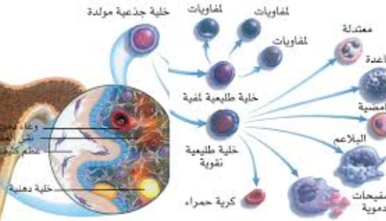 الخلابا