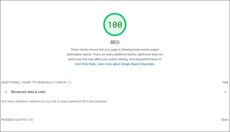 Screenshot of PPSL's website scoring 100% on SEO section of Google PageSpeed Insights tool