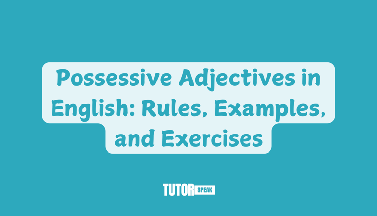 Possessive Adjectives in English: Rules, Examples, and Exercises
