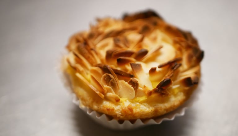 foto, ouriço, pastelaria, pastelaria A Morgadinha, Loulé, Algarve