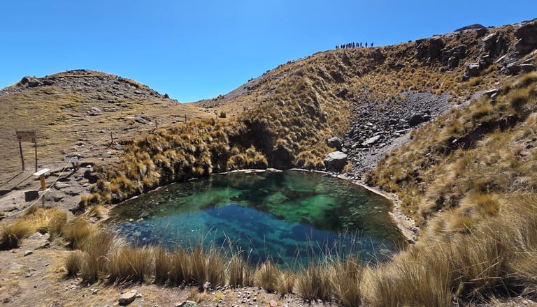 Otorongo Cocha Ausangate National Park