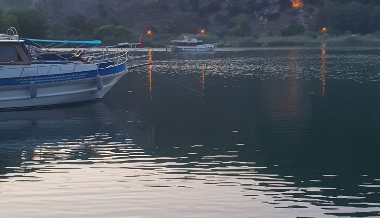 a boat is docked in a lake with a mountain in the background