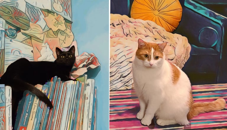 A black cat and a white and orange tabby cat