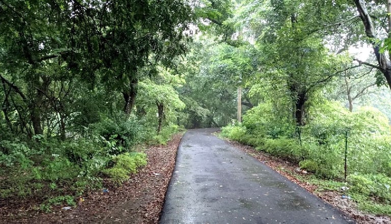 Kukrail Picnic Spot