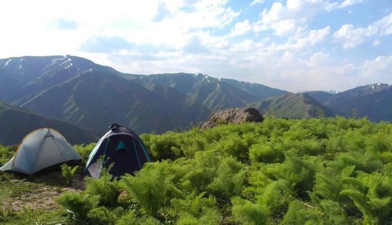 Chimgan Spring Camping Tashkent Uzbekistan