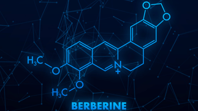the chemical makeup of berberine, should I take berberine or ozempic?