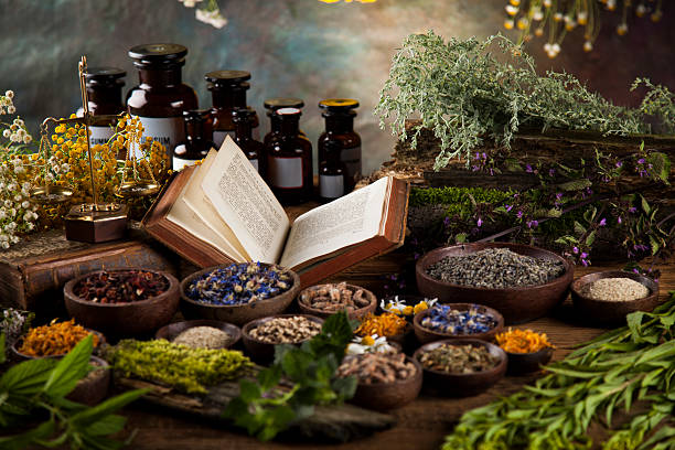 a variety of herbs and herbs in a variety of different sizes and shapes