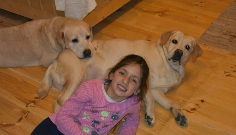 Dog Boarding, Dog Boarding near me, Pet Boarding, Pet Boarding near me, Dog Care, Happy Pettings