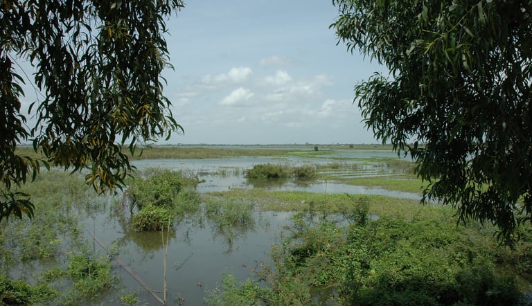  Choeung Ek Genocide Centre, Phnom Penh, Cambodia