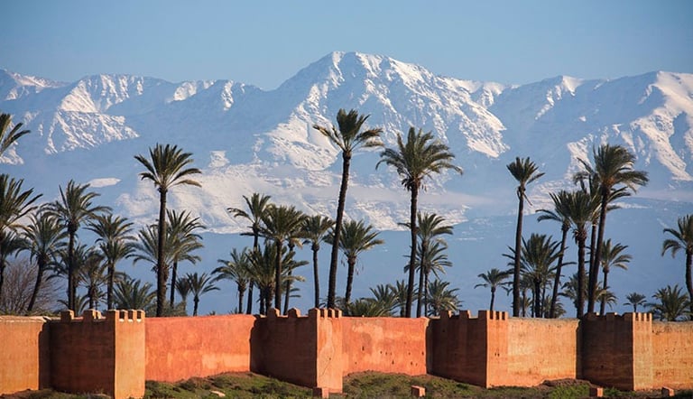 morocco a wall of palm trees and mountains in the background