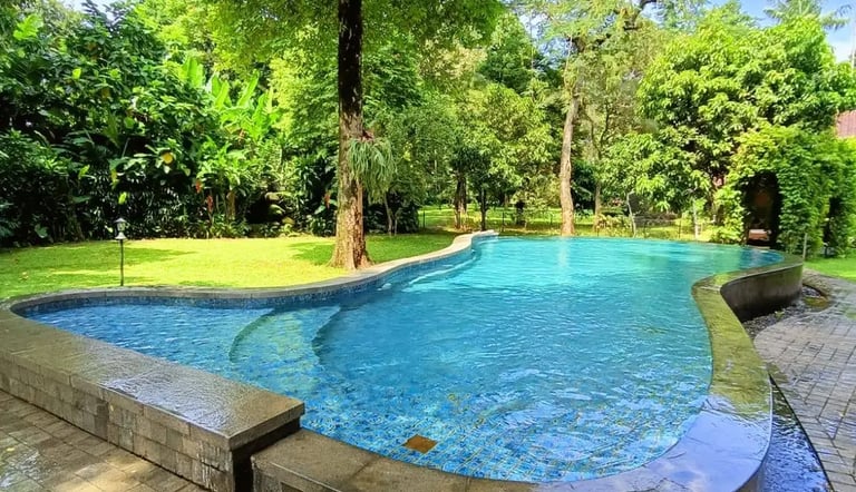 tanaman yang estetik dan sesuai dengan konsep Kolam Renang