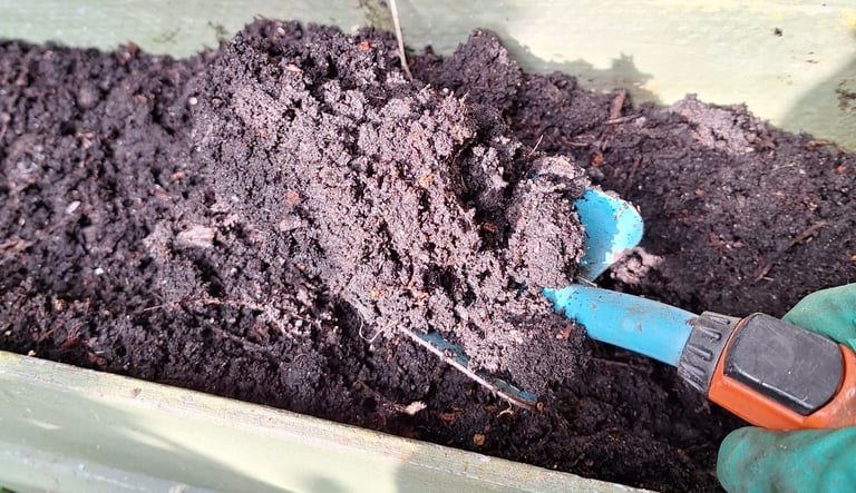a lot of brown soil ideal for Dill in a container