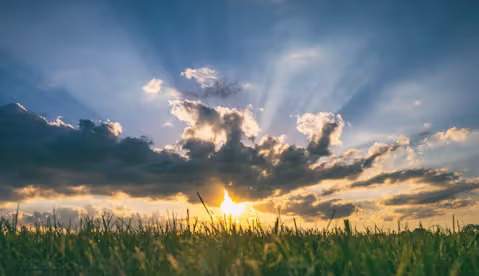 the sun is setting over a field of grass