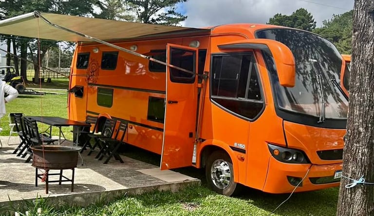 a camper van parked in a grassy area