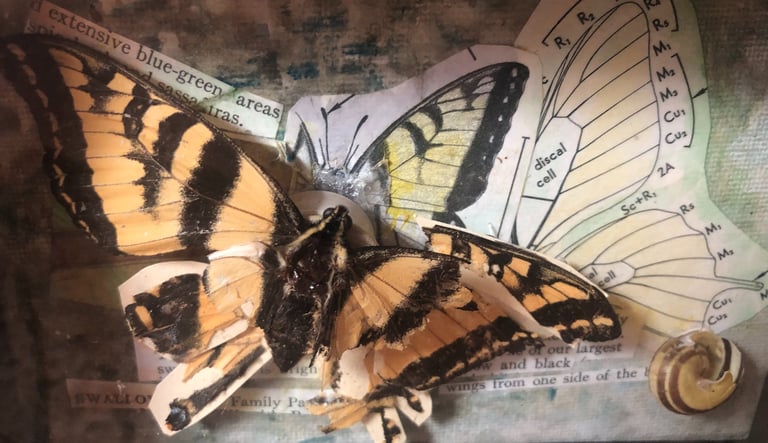 Reassembled monarch butterfly art piece representing healing and transformation