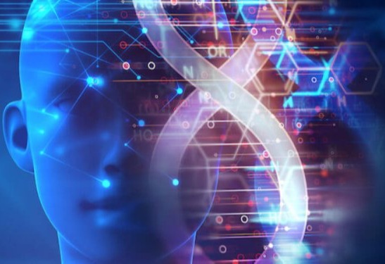 Pinnacle of evolution