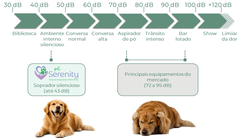 Infográfico comparando os níveis de ruído do secador silencioso Pet Serenity com os convencionais.