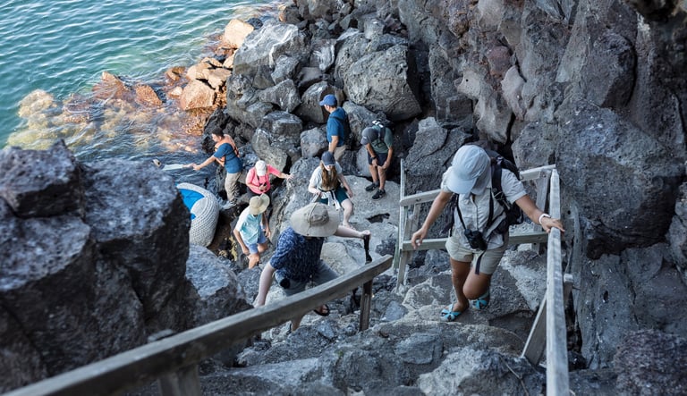 Family experiencing wildlife together in the Galapagos Islands