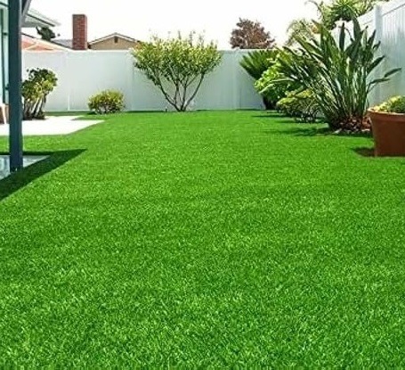 Korean lawn grass in Rajahmundry