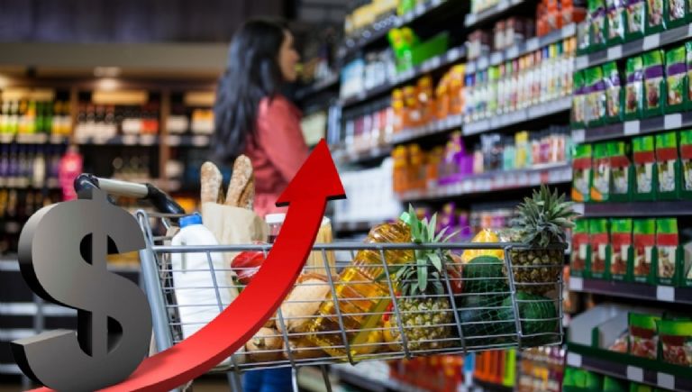 imagem de um carrinho de compras com produtos variados dentro dele