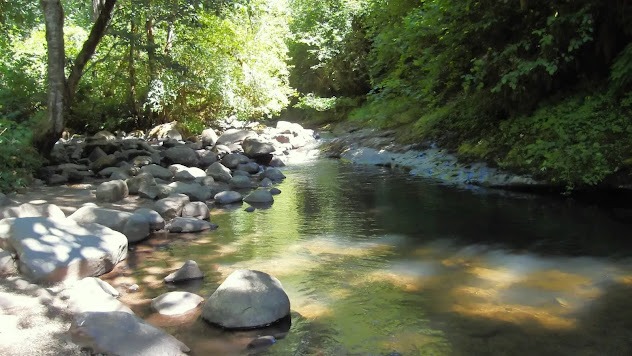 Eugene, OR - View up McKenzie Creek