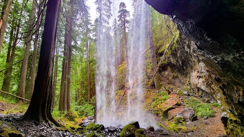 Waterfall Hwy, OR - View from behind Grotto Falls