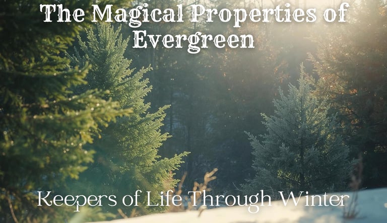 The Magical Properties of Evergreen