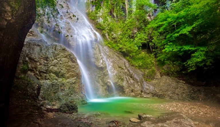 a waterfall in the middle of a forest