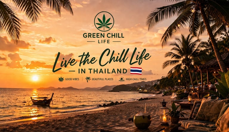 Tropical beach sunset in Thailand with palm trees and relaxing chill atmosphere representing cannabis lifestyle thailand