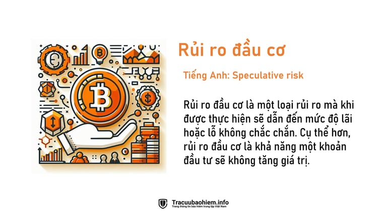 Rủi ro đầu cơ là gì? Định nghĩa rủi ro đầu cơ