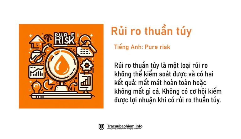 Rủi ro thuần túy là gì? Định nghĩa rủi ro thuần túy