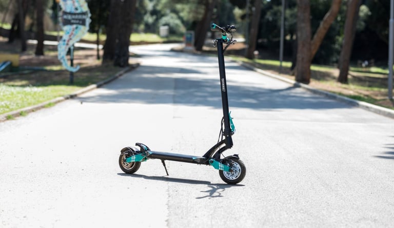 Black and teal VSETT electric scooter parked on a paved park path surrounded by trees.