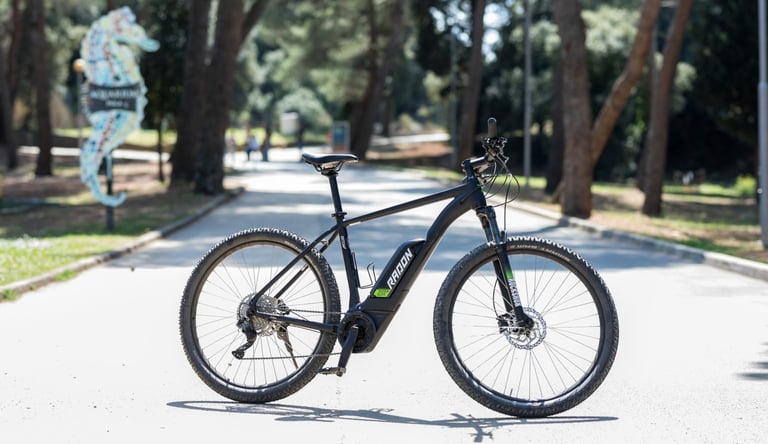 Black Radon electric mountain bike parked on a paved park path surrounded by tall green trees.