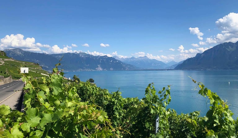Lac Léman avec des vignes et des montagnes en arrière-plan