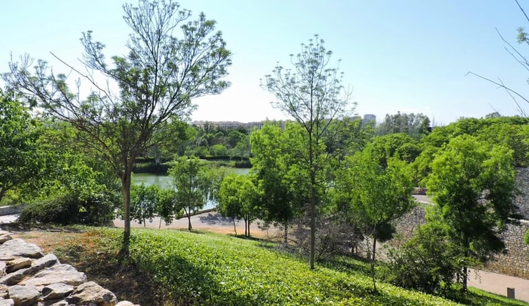 Paisaje verde del Parque de la Cabecera.