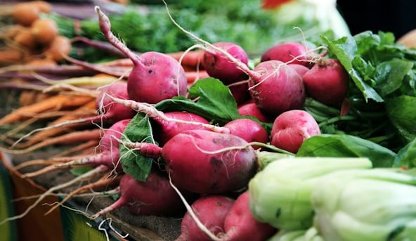 a few red radish plants that just got harvested
