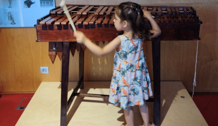 a young girl playing with a musical instrument