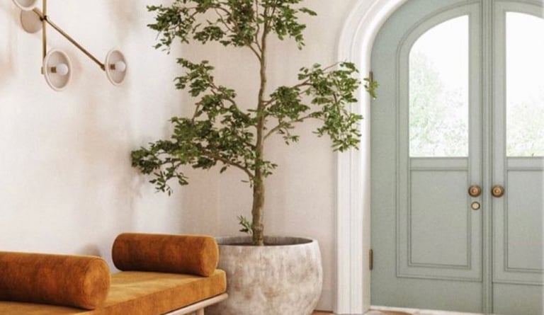 a room with a couch and a plant in it