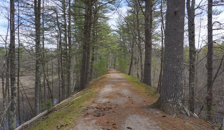 Explore the local areas