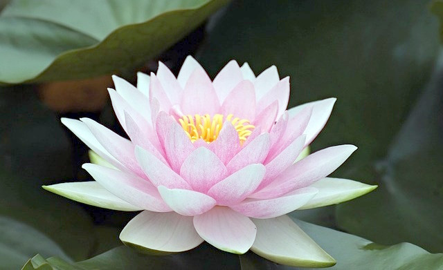 benefits of mindfulness