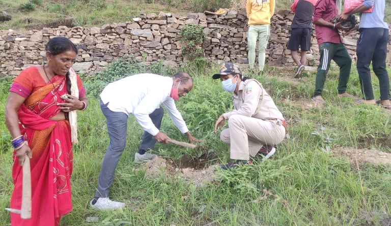 Top 10 tree plantation agency in Uttarakhand