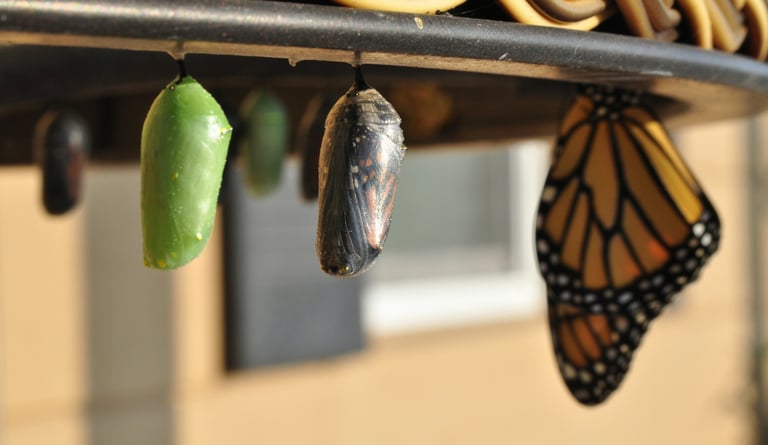 compétence développement personnel