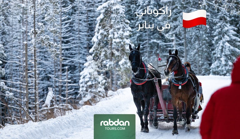 زاكوباني في شهر يناير ١