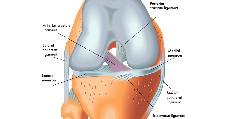 best acl surgeon in jayanagar