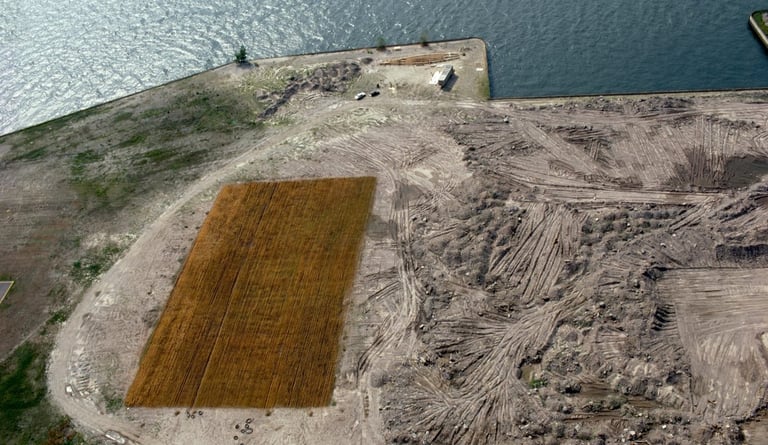 Agnes denes wheatfield a confrontation sustainable gallery merken magazine merkenmagazine