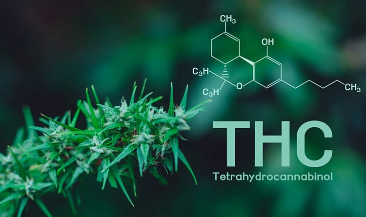 THC in Malta